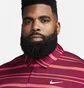 Поло мужское Nike Dri-Fit Tour Striped Golf Polo Violet DR5300-620
