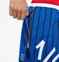 Шорты мужские Nike Lil Penny Premium Basketball Shorts Blue Da5993-480