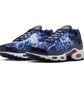 Кроссовки мужские Nike Air Max Plus Eclair Lightning MenS Shoes Blue/Grey HV2323-400