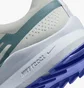 Кросівки чоловічі Nike React Pegasus Trail 4 White Dj6158-005
