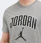 Футболка мужская Air Jordan City 88 Ss Crew Grey HQ0009-091