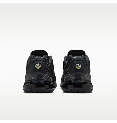 Кроссовки мужские Nike Air Max Phoenix Black FZ5307-008