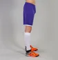 Шорты мужские Joma Toledo Violet 100006.550