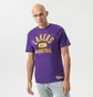 Футболка чоловіча Nike T-Shirt Lal M Nk Df Es Prt Gpx Ss Tee Nba Violet DA5925-547