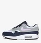 Кросівки чоловічі Nike Air Max 1 Grey/Blue FD9082-001
