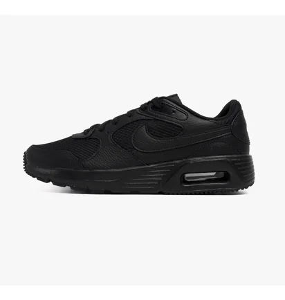 Кроссовки мужские Nike Air Max Sc Black CW4555-003