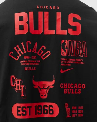 Лонгслив мужской Nike Nba Chicago Bulls Courtside Black DA5891-010