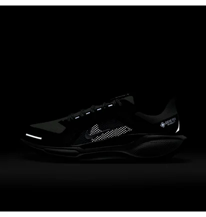Кроссовки женские Nike Pegasus Gore-Tex Black/Grey FQ1357-002