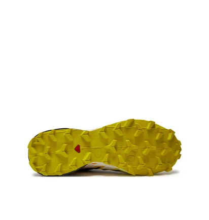 Кроссовки мужские Salomon Speedcross 6 Gore-Tex Black/Yellow L47465400