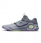 Кросівки унісекс Nike Kd Trey 5 X Grey DD9538-012