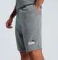 Шорти чоловічі Puma Essentials Grey 684715-03