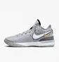 Кросівки унісекс Nike Lebron Nxxt Gen Basketball Shoes Grey DR8784-004