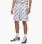 Шорты мужские Air Jordan Essentials White DX9673-100