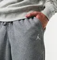 Штани чоловічі Air Jordan Essentials Grey FJ7779-091