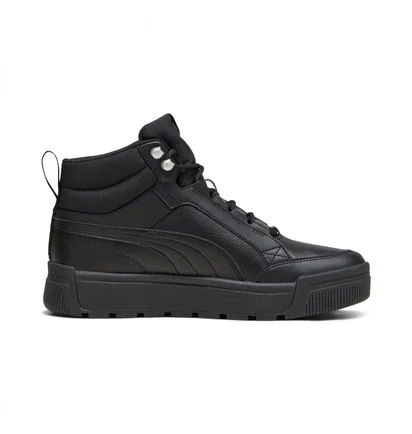 Кроссовки мужские Puma Tarrenz Sb Iii Black 392628-01