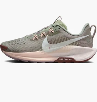 Кроссовки женские Nike Pegasus Trail 5 Grey DV3865-300