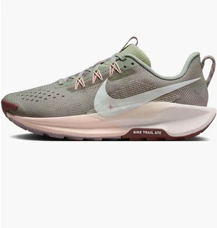 Кроссовки женские Nike Pegasus Trail 5 Grey DV3865-300