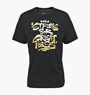 Футболка мужская Nike Lbj Ssnl Sfg Tee Black DD0785-011