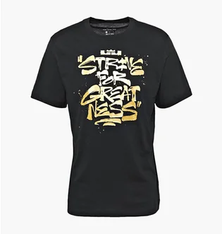 Футболка мужская Nike Lbj Ssnl Sfg Tee Black DD0785-011