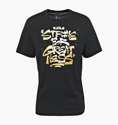 Футболка мужская Nike Lbj Ssnl Sfg Tee Black DD0785-011