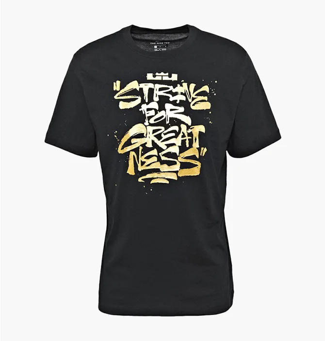 Футболка мужская Nike Lbj Ssnl Sfg Tee Black DD0785-011