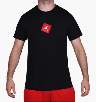 Футболка чоловіча Air Jordan Sportswear Black BV8873-010
