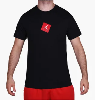 Футболка мужская Air Jordan Sportswear Black BV8873-010
