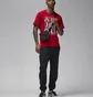 Футболка мужская Air Jordan T-Shirt Brand Red FN5978-687