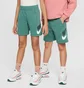 Шорты детские Nike K Nsw Club Ft Short Hbr Green FD2997-361