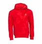 Худи мужское Air Jordan Essential All Over Print Fleece Pullover Hoody Red DQ7507-612