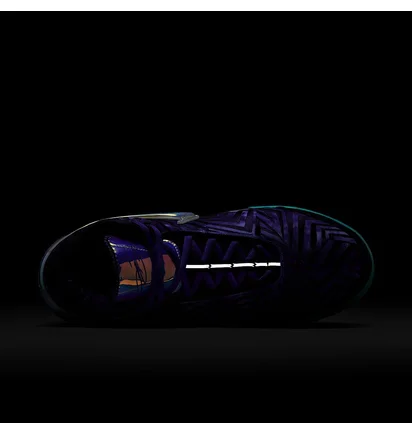 Кроссовки мужские Nike Lbj Nxxt Genisus Qs Violet IB1272-501