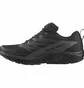 Кросівки чоловічі Salomon Sense Ride 5 Gtx Black 471472