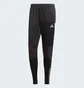 Штаны мужские Adidas Tiro 23 Competition Winterized Black IL7265