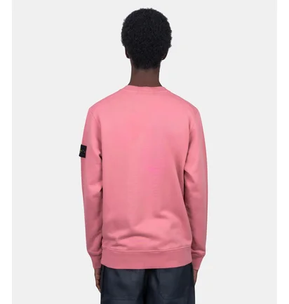 Свитшот мужской Stone Island Pink L1S156100060-S0051-V008G