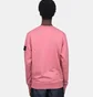 Свитшот мужской Stone Island Pink L1S156100060-S0051-V008G
