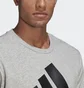 Свитшот мужской Adidas Essentials French Terry Big Logo Sweatshirt Grey GK9077