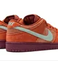 Кросівки унісекс Nike Sb Dunk Low Pro Prm Red DV5429-601