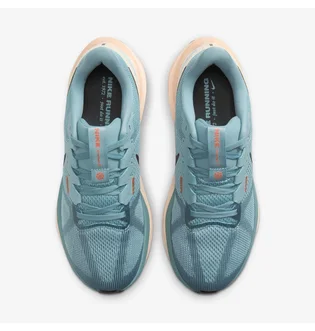 Кросівки жіночі Nike W Air Zoom Structure 25 Turquoise DJ7884-400