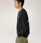Лонгслів чоловічий Arc'teryx Kragg Sl Black X00000953702
