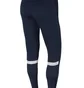 Штаны мужские Nike M Nk Dry Acd21 Pant Kpz Blue CW6122-451