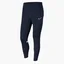 Штаны мужские Nike M Nk Dry Acd21 Pant Kpz Blue CW6122-451