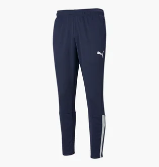 Штаны мужские Puma Teamliga Blue 657242-06