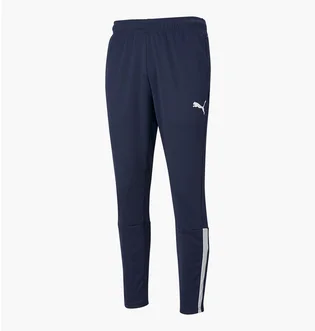Штани чоловічі Puma Teamliga Blue 657242-06