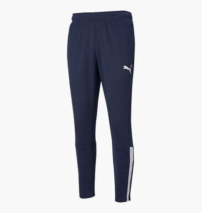 Штаны мужские Puma Teamliga Blue 657242-06