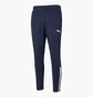 Штаны мужские Puma Teamliga Blue 657242-06