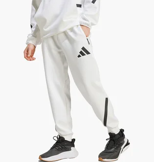 Штаны мужские Adidas Z.N.E. Tracksuit Bottoms White JF2449