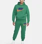 Штаны мужские Nike Club Fleece Joggers Green FN3094-365
