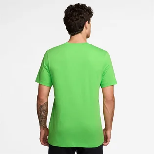 Футболка мужская Nike MenS Spring Icon T-Shirt Green AR5004-309