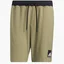 Шорты мужские Adidas City Fl Short Olive H29165