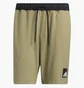 Шорты мужские Adidas City Fl Short Olive H29165